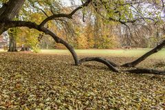 regensburg-dörnbergpark-ableger