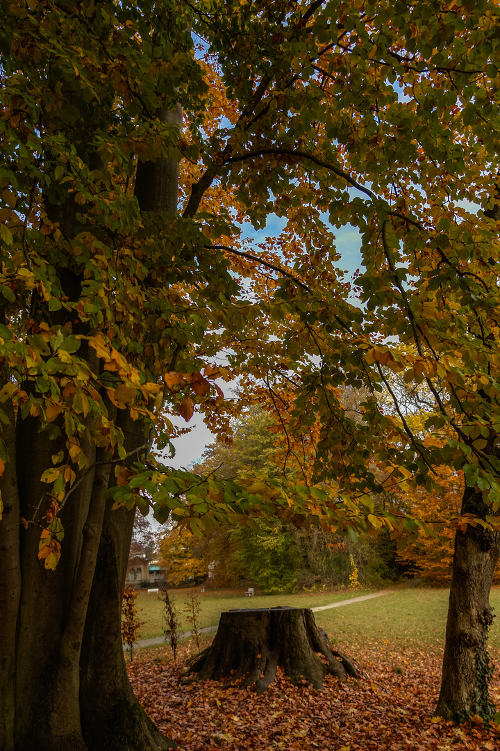 regensburg-dörnbergpark-stumpf