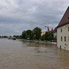 Regensburg Hochwasser 2013_2