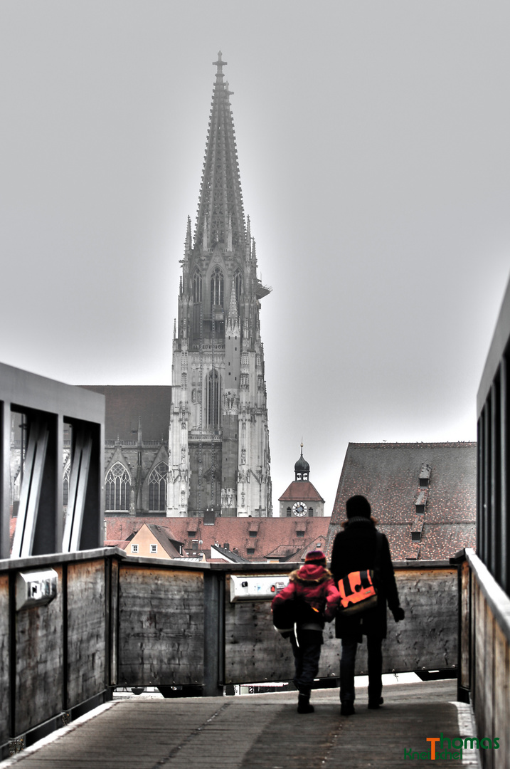 Regensburg im Nebel