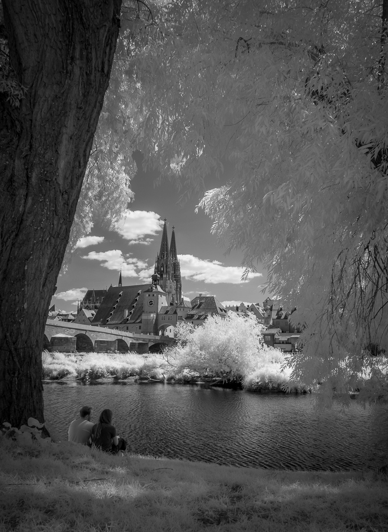 Regensburg in IR