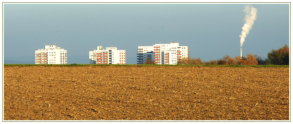 Regensburg - Königswiesen im Herbst