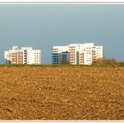 Regensburg - Königswiesen im Herbst