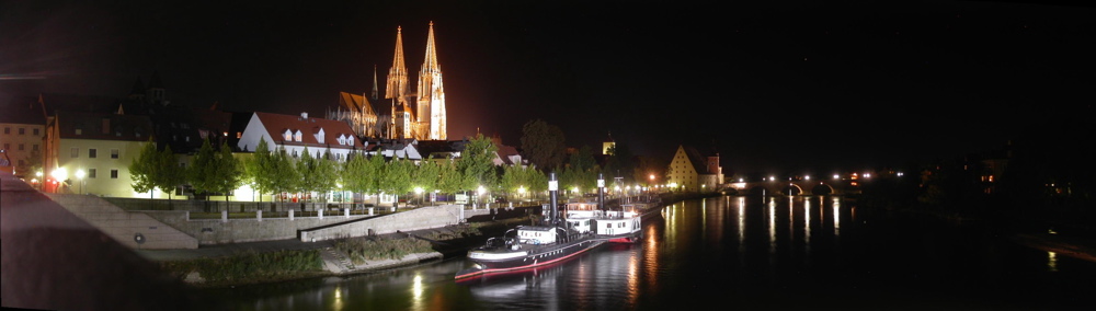 Regensburg Panorama