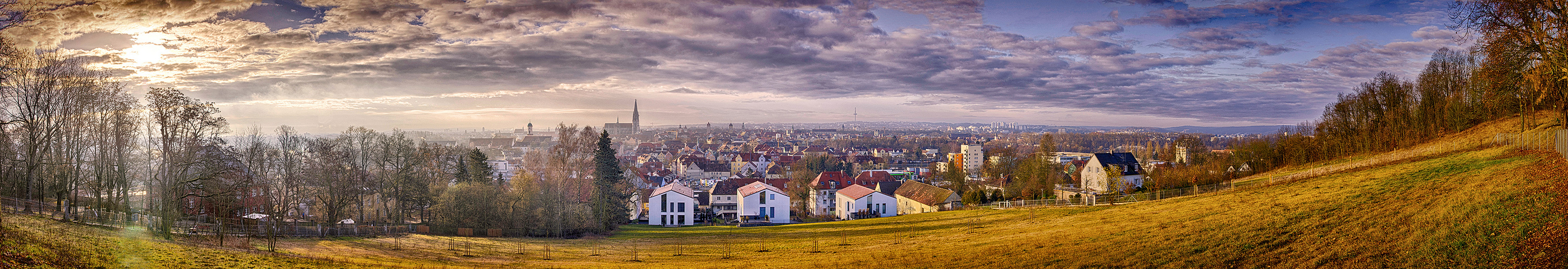Regensburg Panorama II