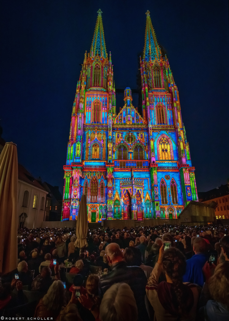 Regensburger Dom: Illumination „La cathédrale magique“