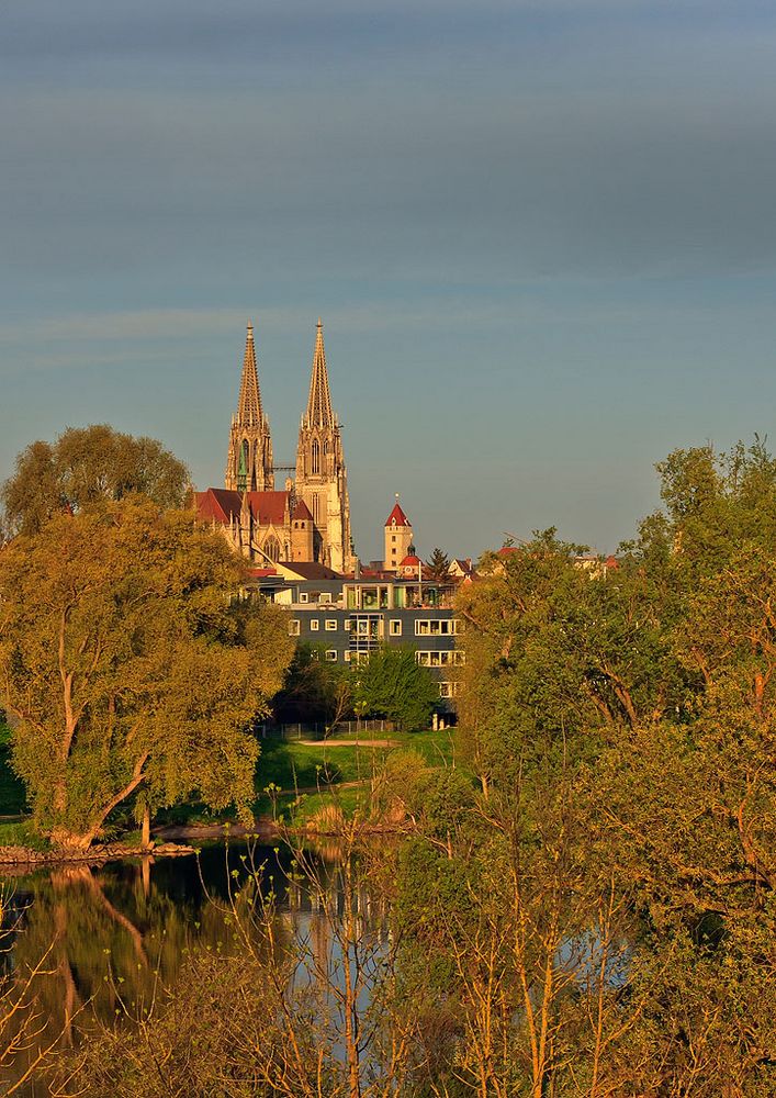 Regensburger Dom im Morgenlicht