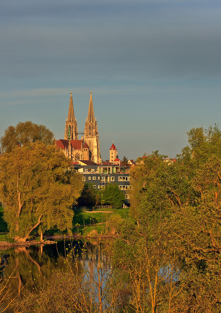 Regensburger Dom im Morgenlicht