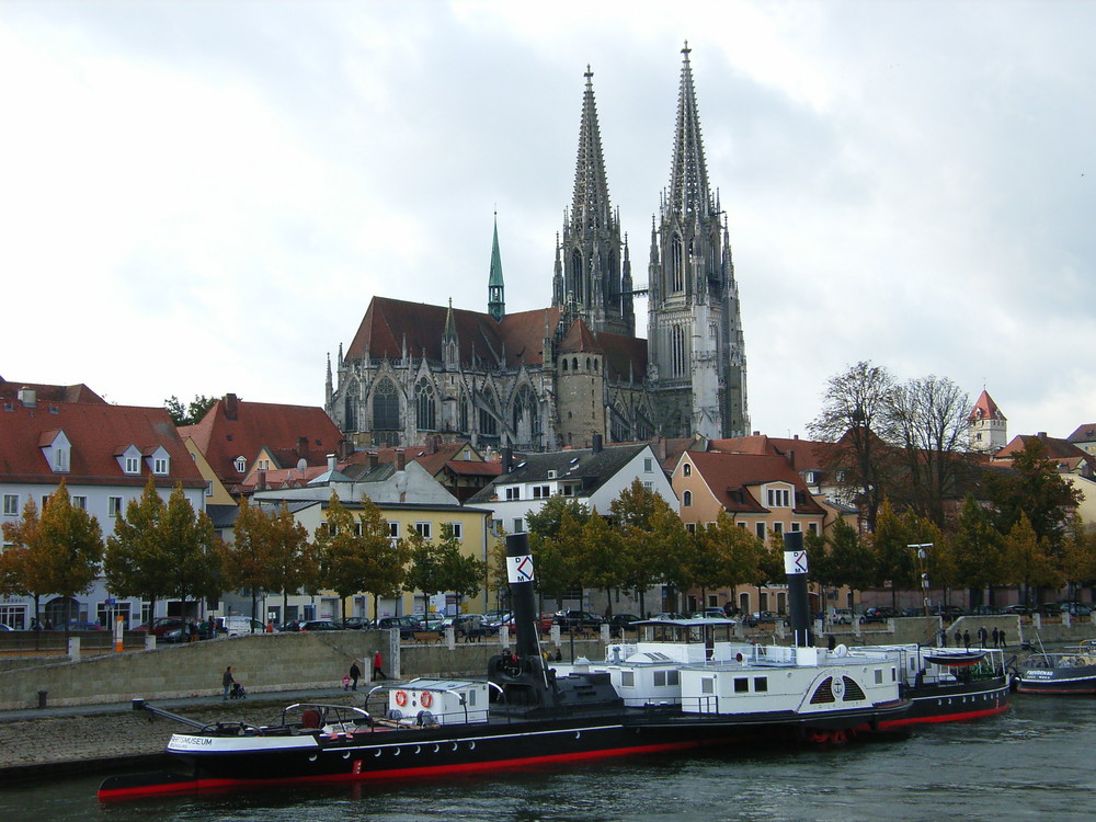 Regensburger Dom mit Donauraddampfer