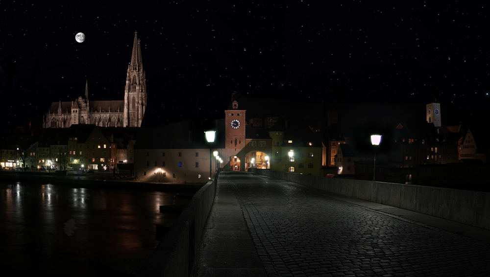 Regensburger Dom von der steinernen Brücke aus *REUPP*