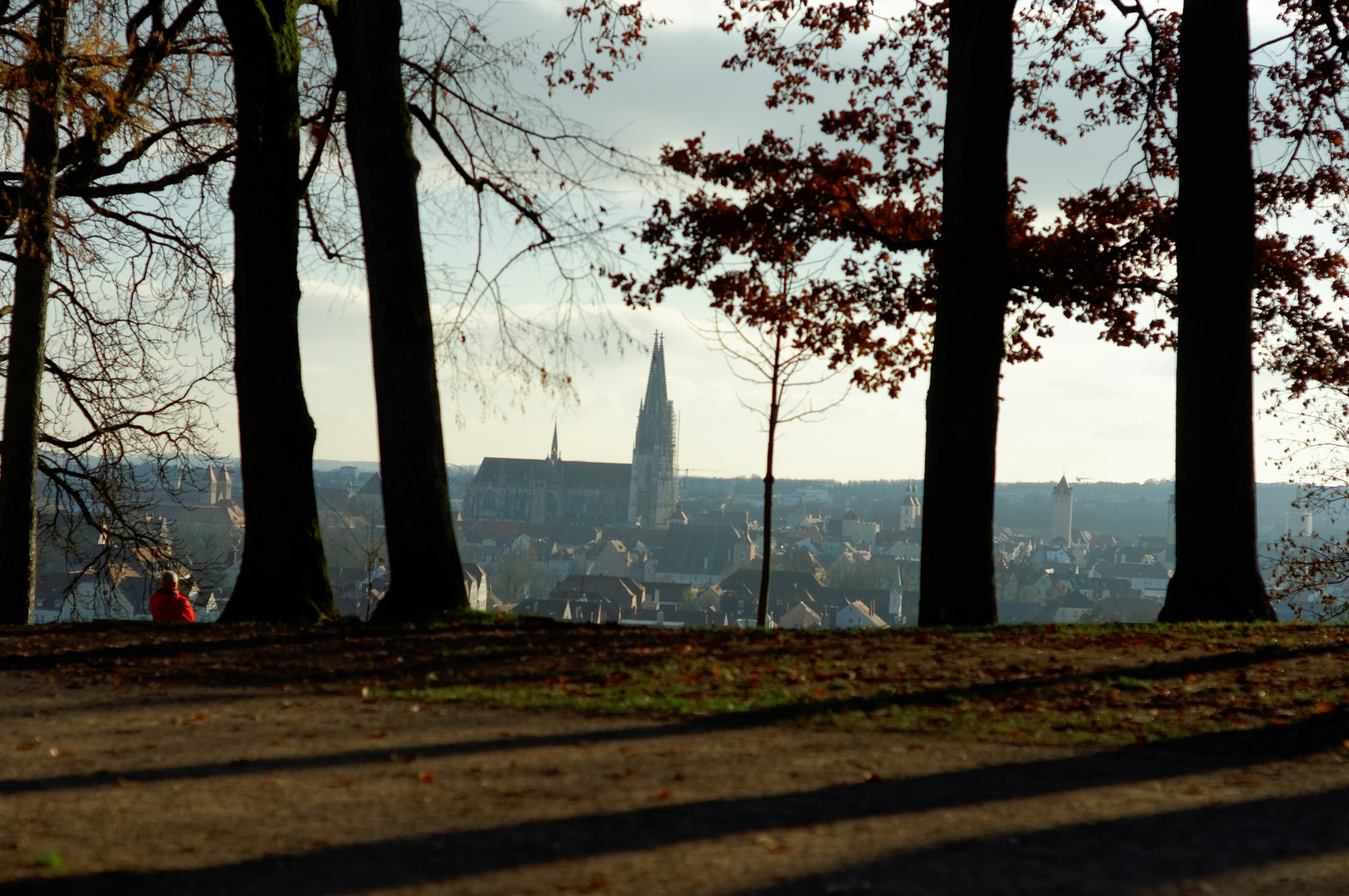 Regensburgs schönste Aussicht