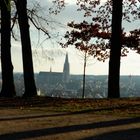 Regensburgs schönste Aussicht