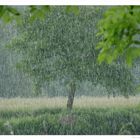 Regenschauer an der Ruhr