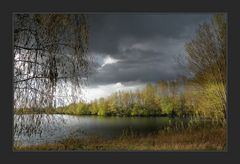 Regenschauer ...