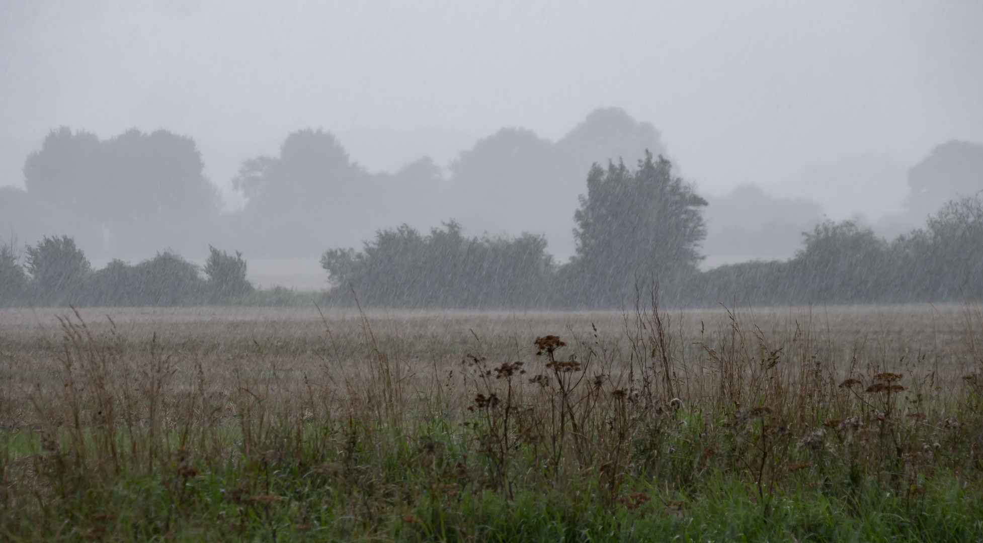 Regenschauer