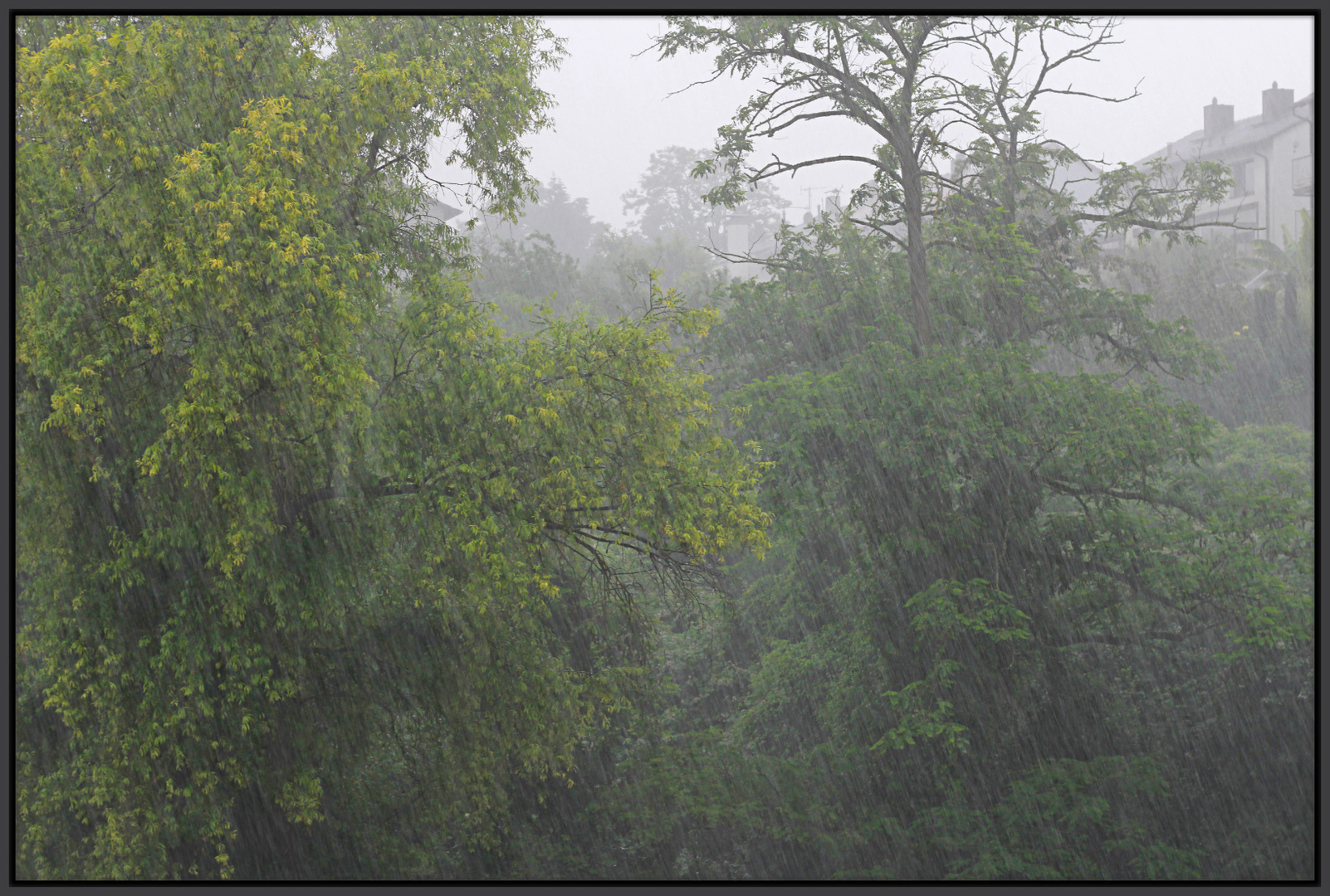 Regenschauer