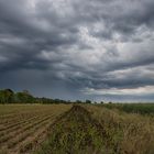 Regenschauer im 