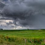 Regenschauer im Moor