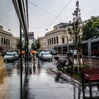 Regenschauer mit Spiegelung