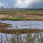 Regenschauer über Ribe