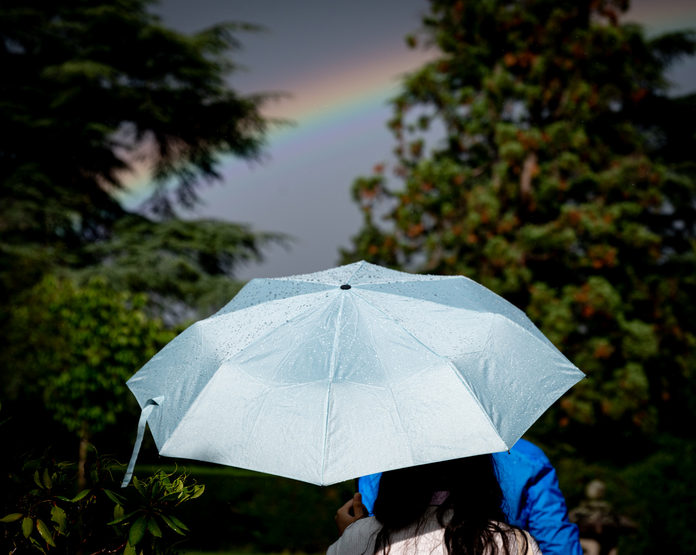 Regenschirm meets Regenbogen 