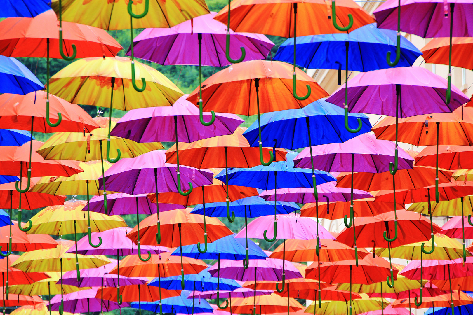 Regenschirm Regen Foto Bild Colorfoto Farben Jury Voting Naher Betrachtet Bilder Auf Fotocommunity