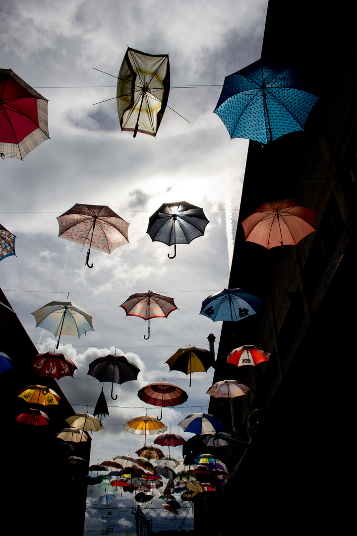 Regenschirme im Himmel in Zürich West