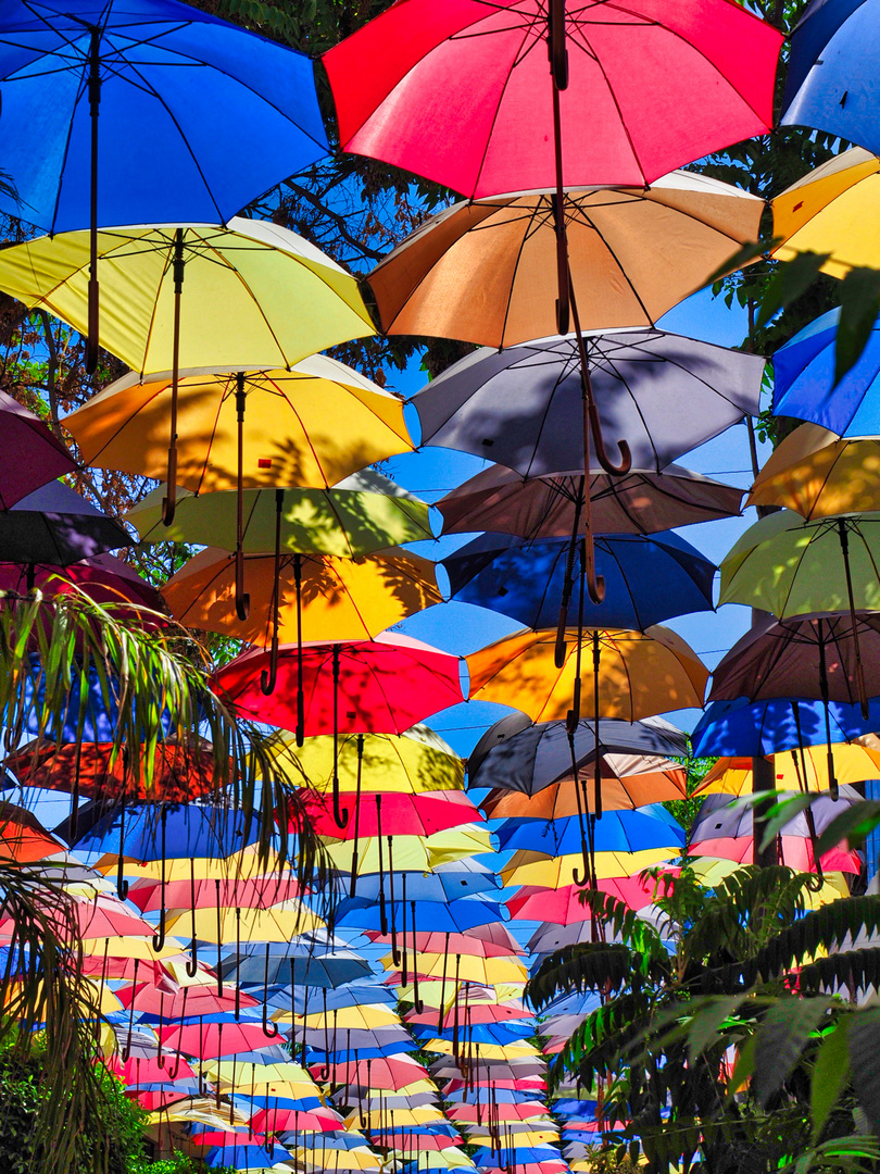 Regenschirme in der Sonne