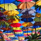 Regenschirme in der Sonne