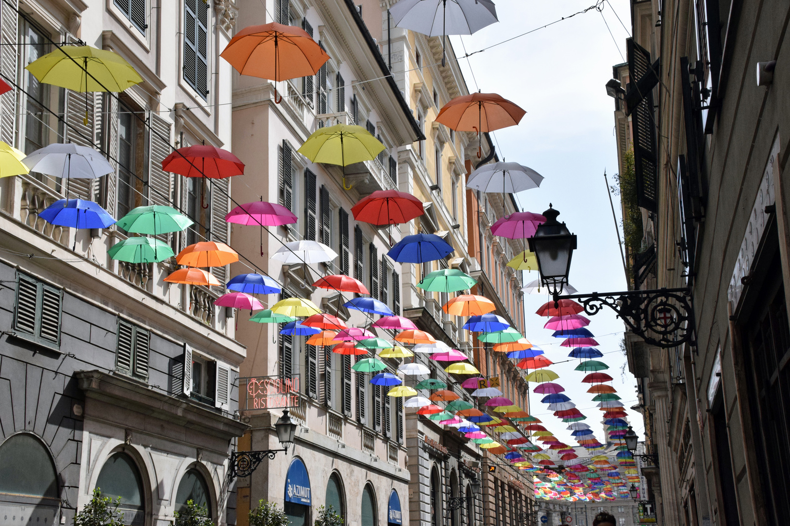 Regenschirme in Genua