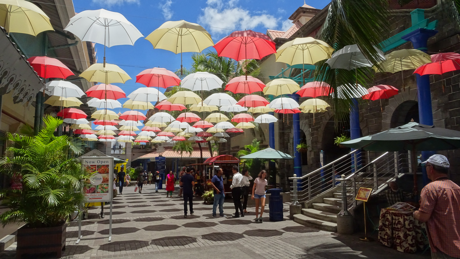 Regenschirme Port Louis