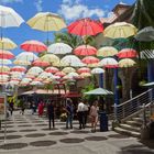 Regenschirme Port Louis