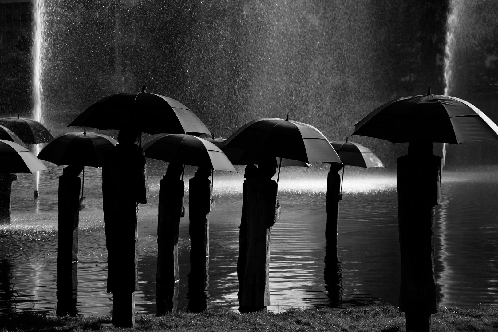 Regenschirmläufer von Davos