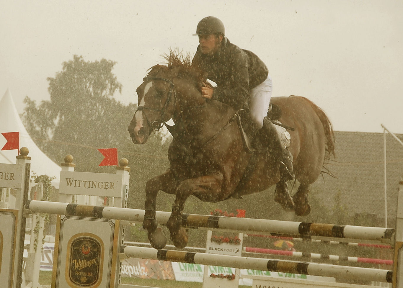 Regenschlacht im Parcours...weiteres lesen