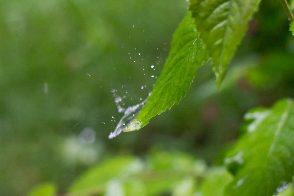 Regenschlag