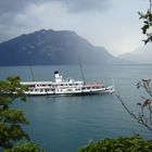 Regenschleider vor «DS Stadt Luzern»