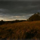 Regenschwere Wolken