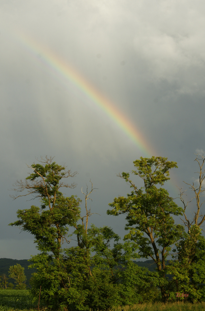 regensonntag