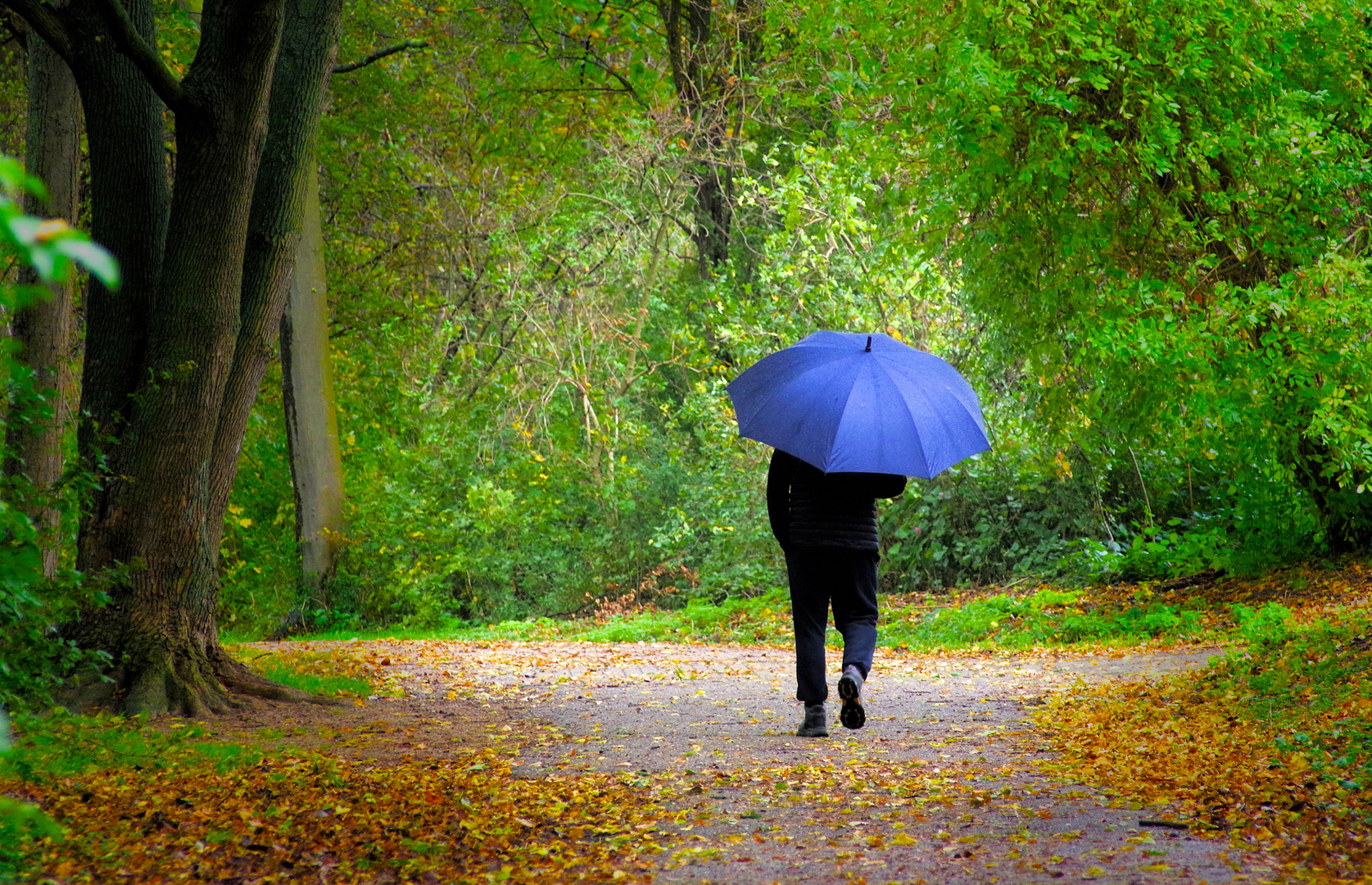 Regenspaziergang