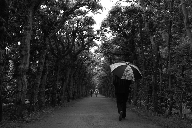 Regenspaziergang