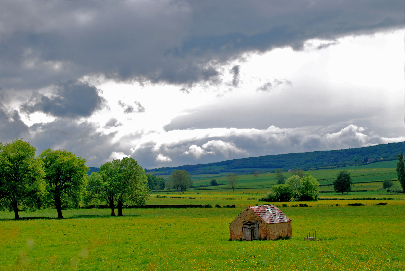 Regenspaziergang