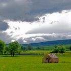 Regenspaziergang