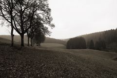 Regenspaziergang