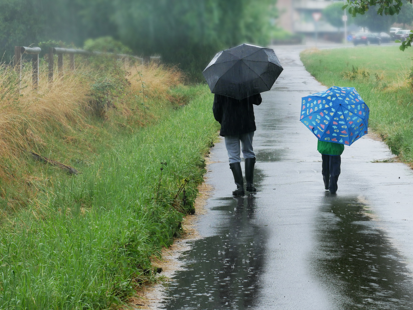 Regenspaziergang - wenn der Vater mit dem Sohne