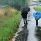 Regenspaziergang - wenn der Vater mit dem Sohne