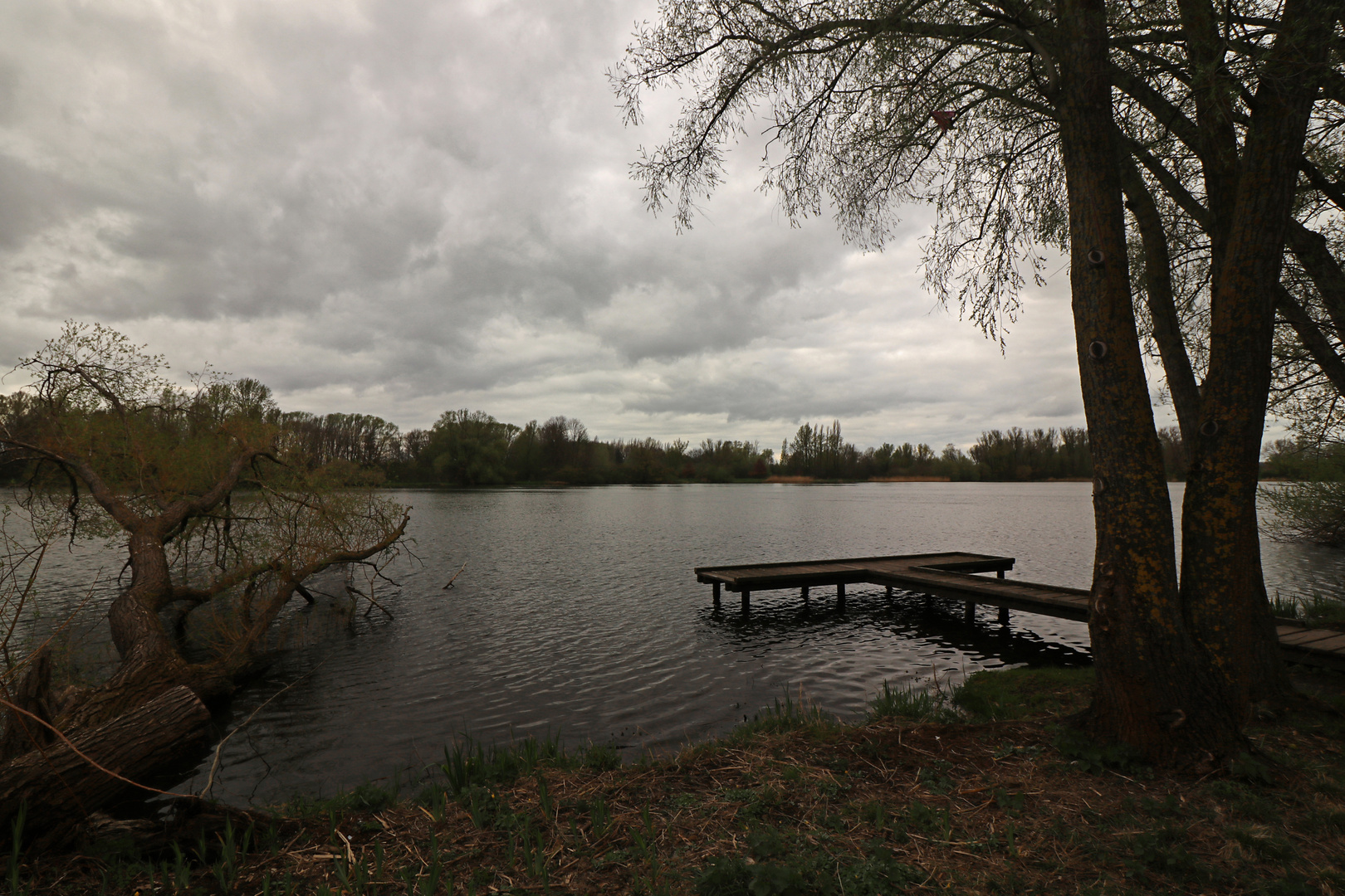 Regenstimmung am See