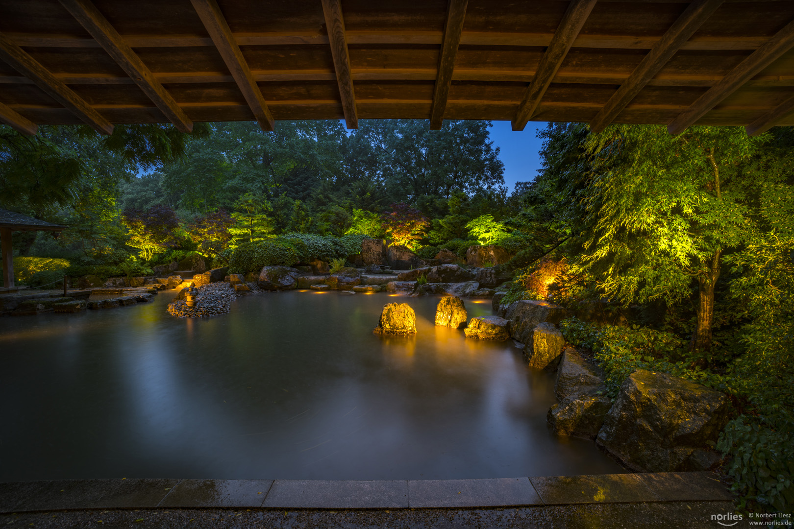 Regenstimmung im Japangarten