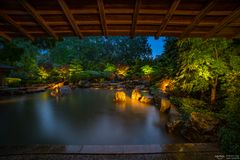 Regenstimmung im Japangarten