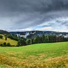 Regenstimmung im Schwarzwald nähe Schonach