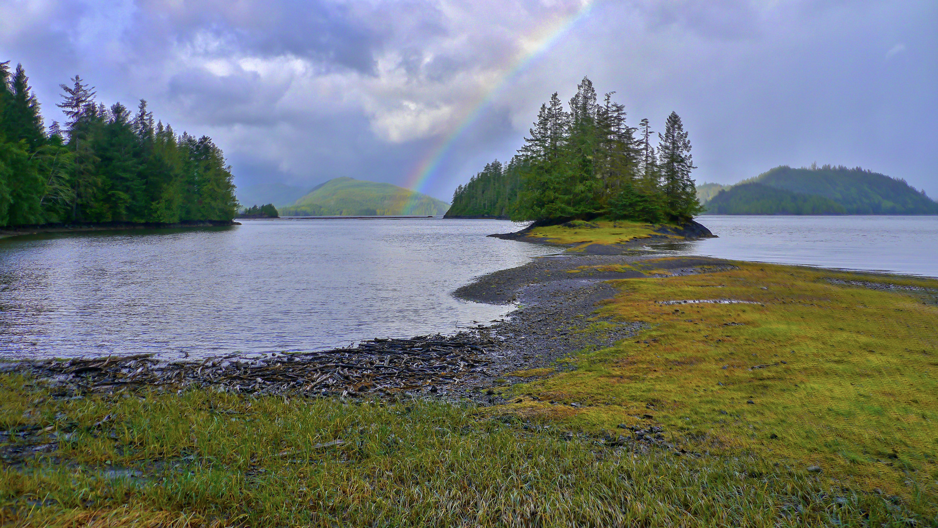 Regenstimmung Moresby Island, Haida Gwaii, Kanada  